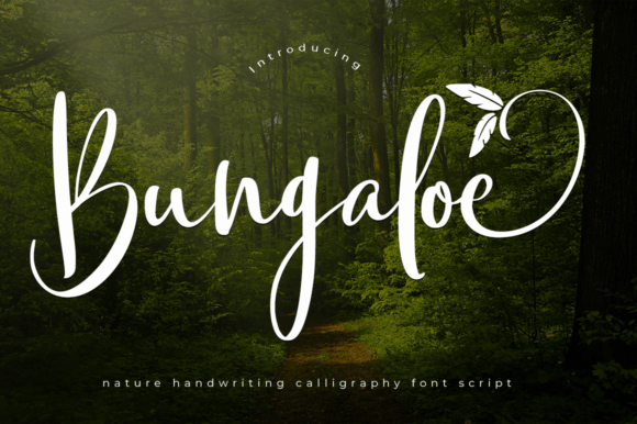 Bungaloe Typeface: A Graceful Script for Elegant Branding
