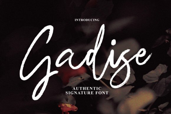 Gadise Typeface Review: Elevating Editorial Design with Handmade Grace