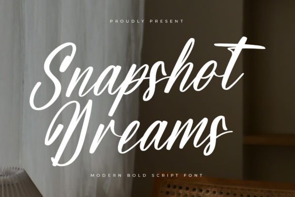 Snapshot Dreams Typeface Review for Digital Brands